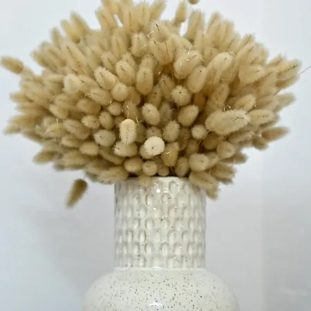 度假居 Sen Garden *