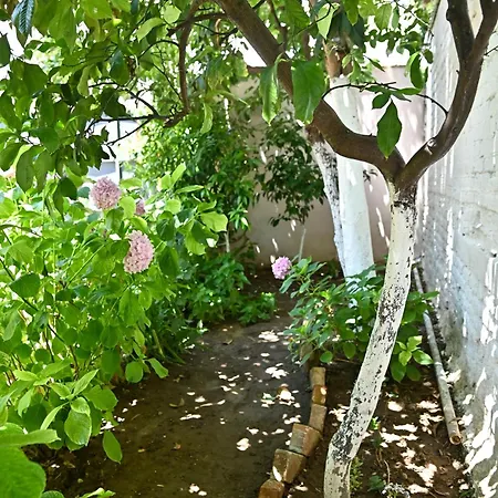 بيت للعطل Sen Garden *