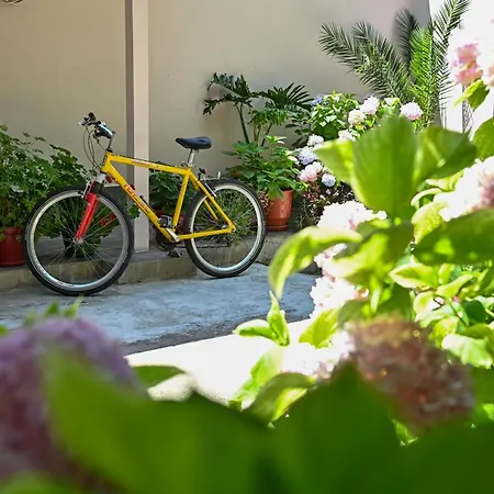 Sen Garden Tirana