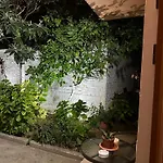 Sen Garden * 티라나
