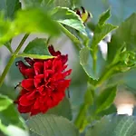 펜션 Sen Garden