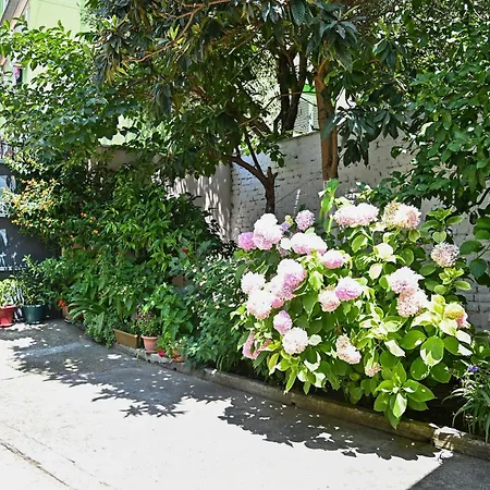 Ferienhaus Sen Garden