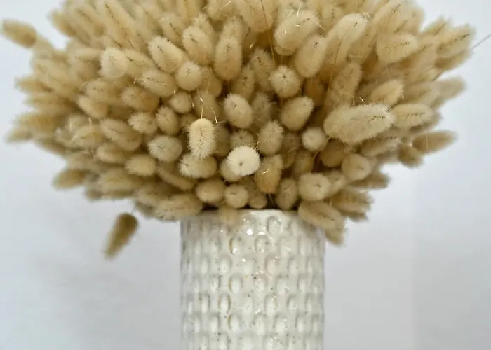 Ferienhaus Sen Garden *