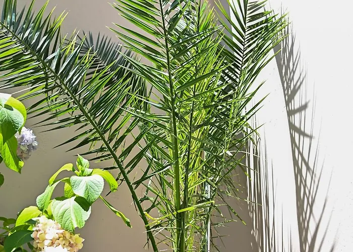 Ferienhaus Sen Garden Tirana