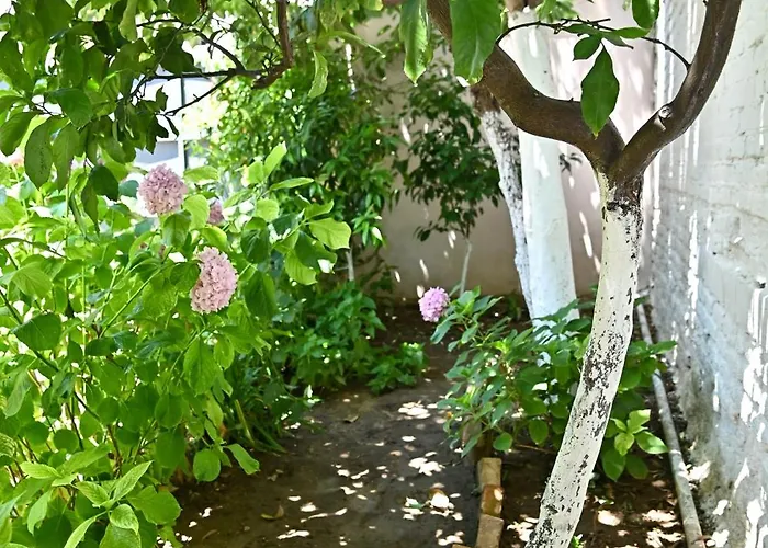 Ferienhaus Sen Garden *